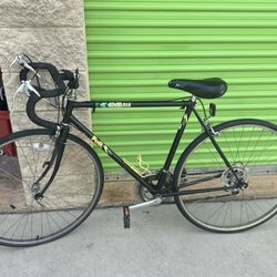 90’s FUJI ARCADIA LIGHT WEIGHT ROAD BIKE 