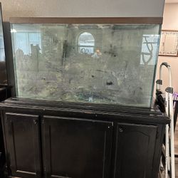 110 Gallon Fish Tank 