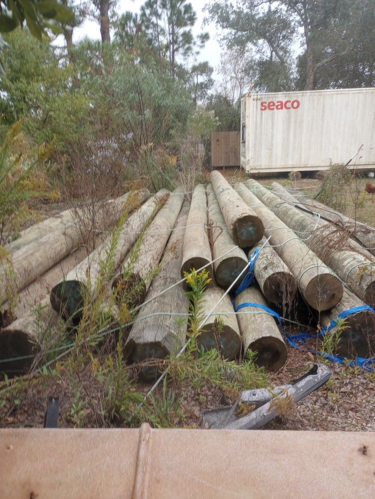 Pilings Treated Class A   25 Foot Long