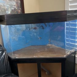 Acrylic fish tank with stand