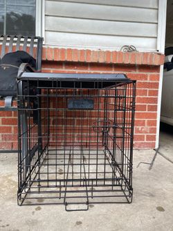 Dog Cage Clean And Ready For Pick Up