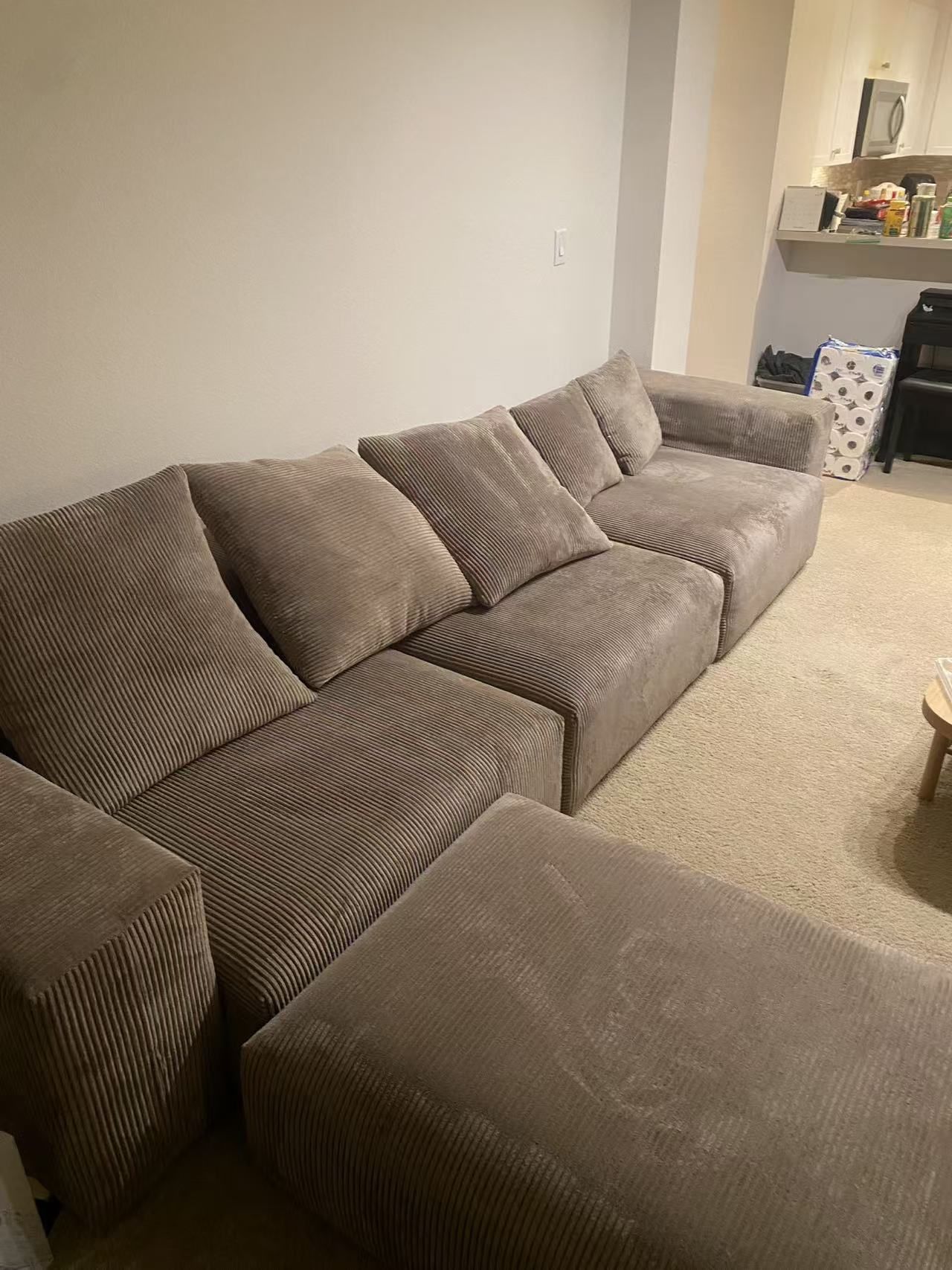 Modern Sectional Couch