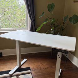 White Standing Desk - 24” x 48”
