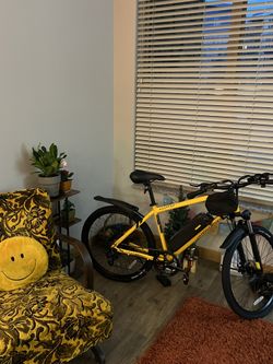 New E-bike!
