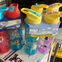 Character Water Bottle 