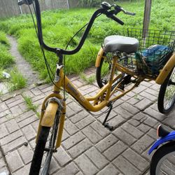 KIMODO 3 Wheeler (Adult)