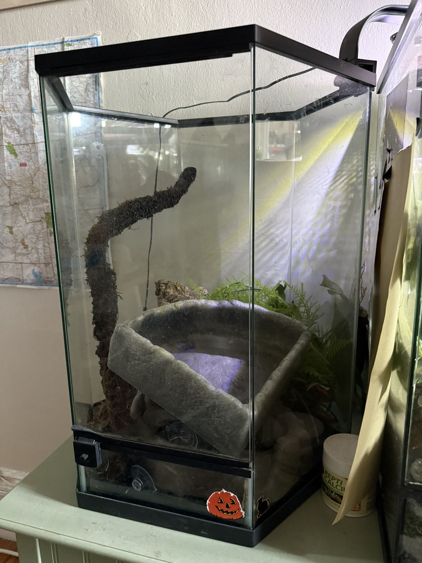 terrarium