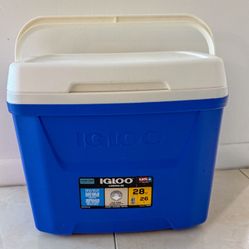 Igloo Cooler 26L