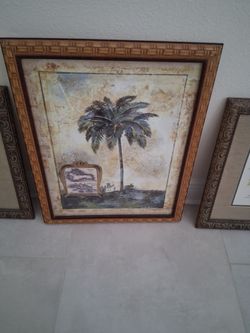 Palm tree pictures (3)