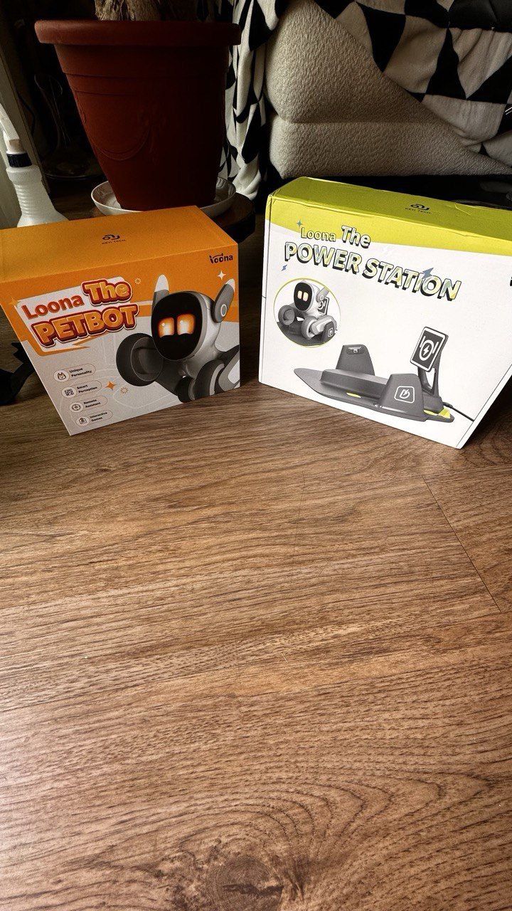 Loona The Petbot + Power Station