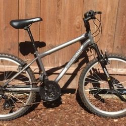 Bike Roadmaster