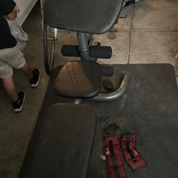 Bench Press/preacher Curl 