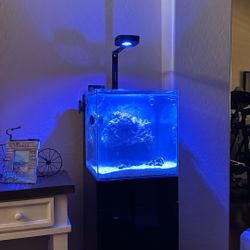 Fish Tank and Accessories 