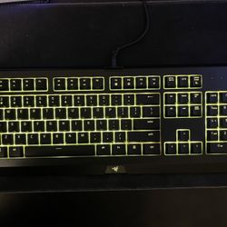 Razer Canosa Chroma