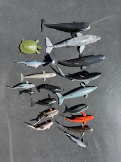 Realistic Okean Animals