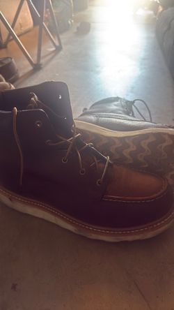 Irish setter sz11