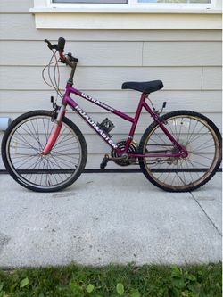 Adult bicycle