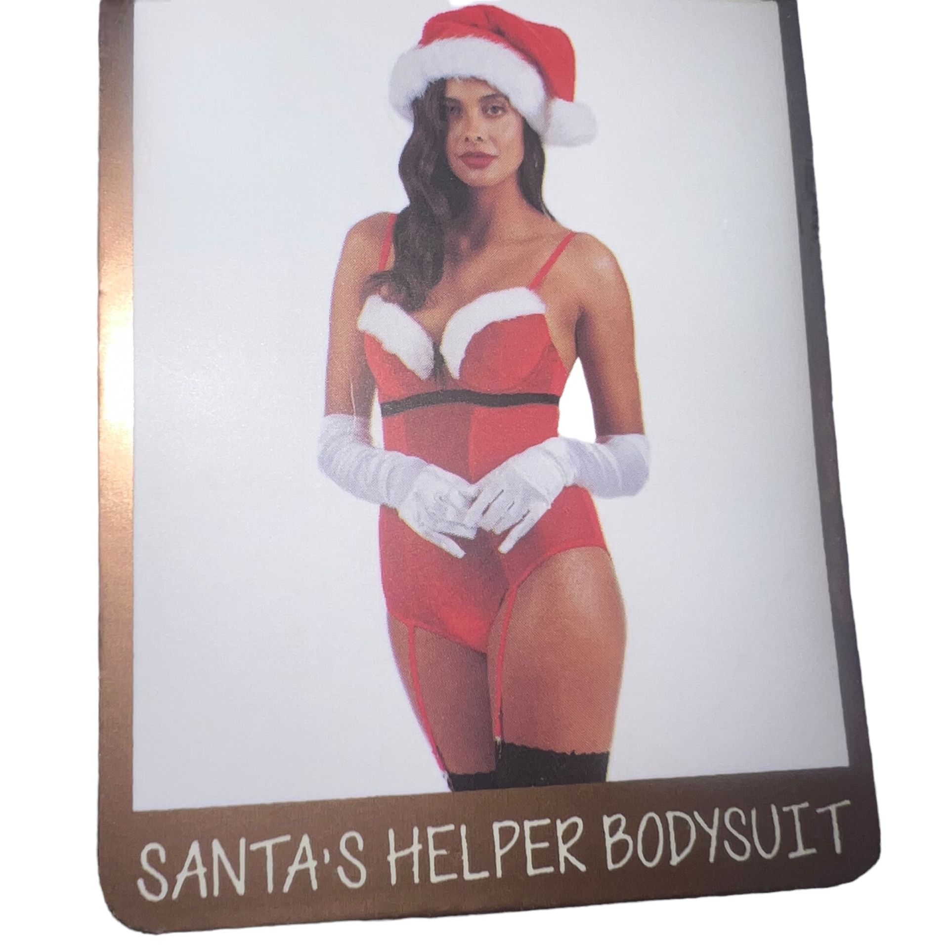 NEW Festive Sexy “Santa’s Helper” Bodysuit