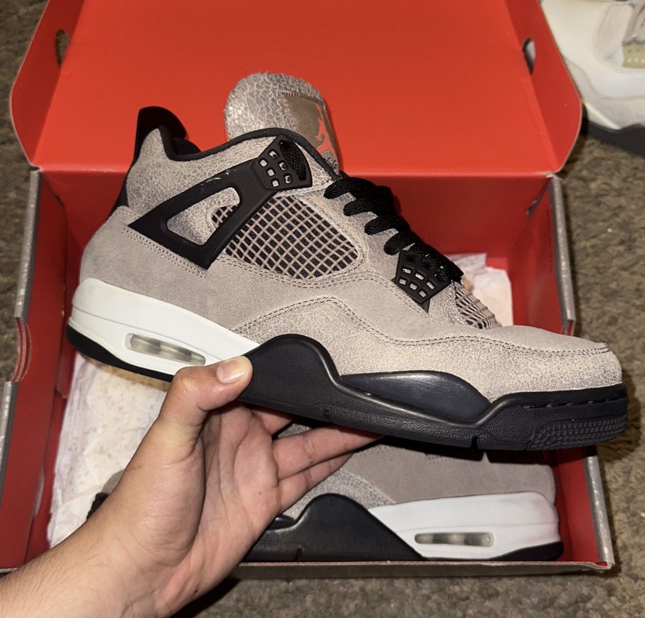 Jordan 4 Taupe Brown 