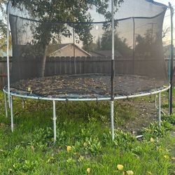 Trampoline Free