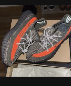 Yeezy Beluga Size 10
