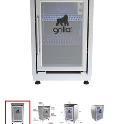 Mini refrigerator With Cabinet