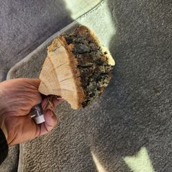 Post oak cooking wood