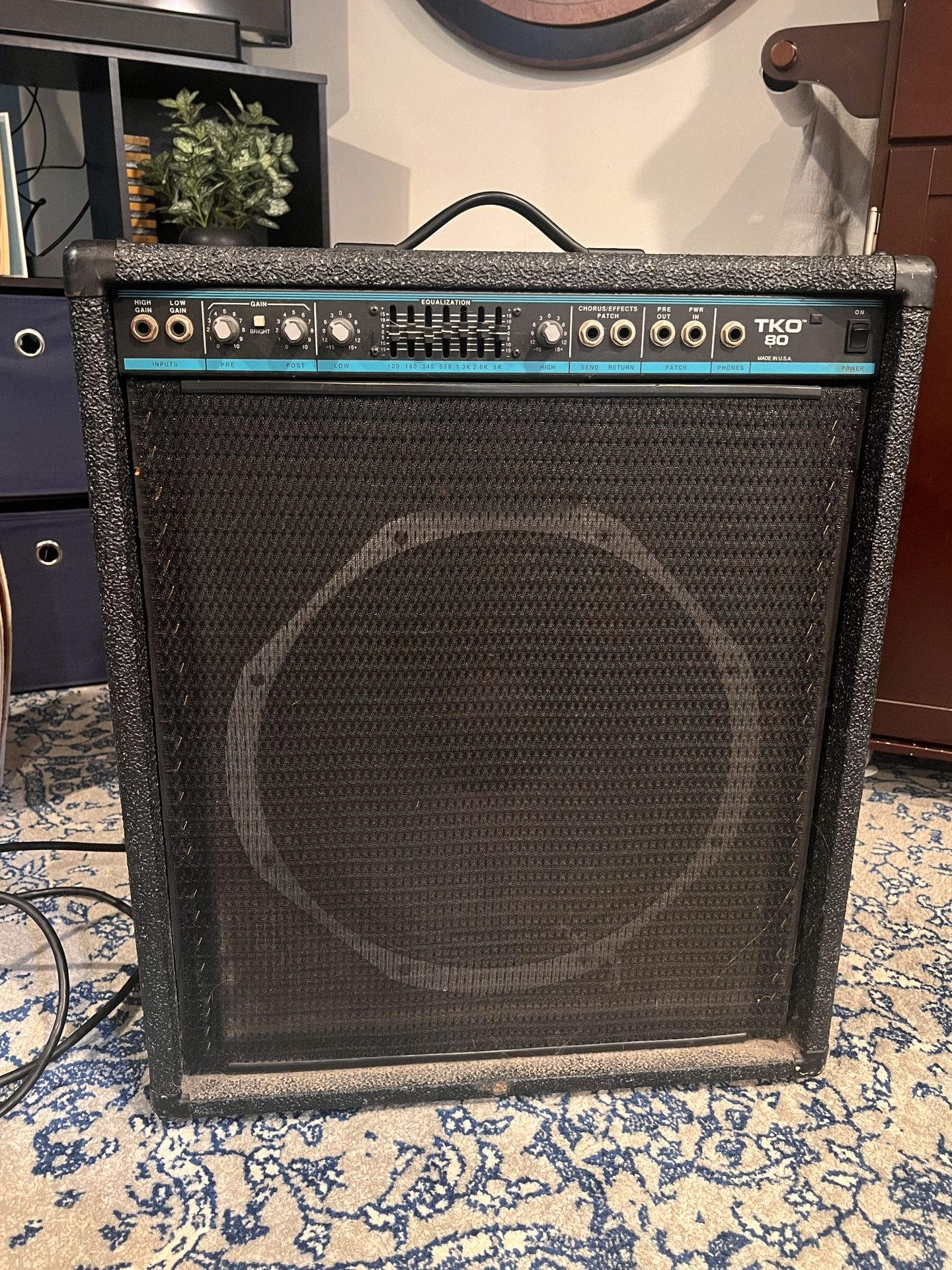 Bass Amp and/or PA System