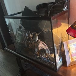 25 Gallon Fish Tank