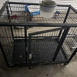Dog Crate