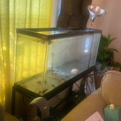 55 gallon tank, stand and light $100
