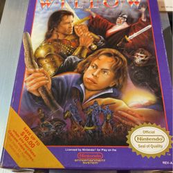 Willow Nintendo