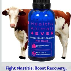 HA4E - Mastitis Recovery Supplement for Cows - Udder Health Support - Normalize Milk Production - All-Natural, Gentle Formula - 300+ Tablets