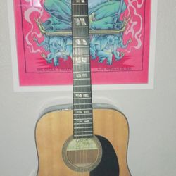 12 String Acoustic Guitar
