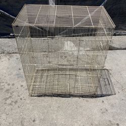 Bird Cage