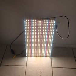Grow Light LED