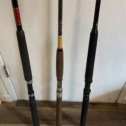 Penn Saber , Shimano , Fenwick Conventional Rods - Each