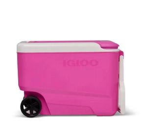 Barbie Pink Igloo (Limited Edition )