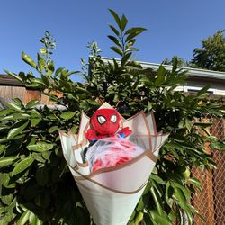 Spider-man boquets 