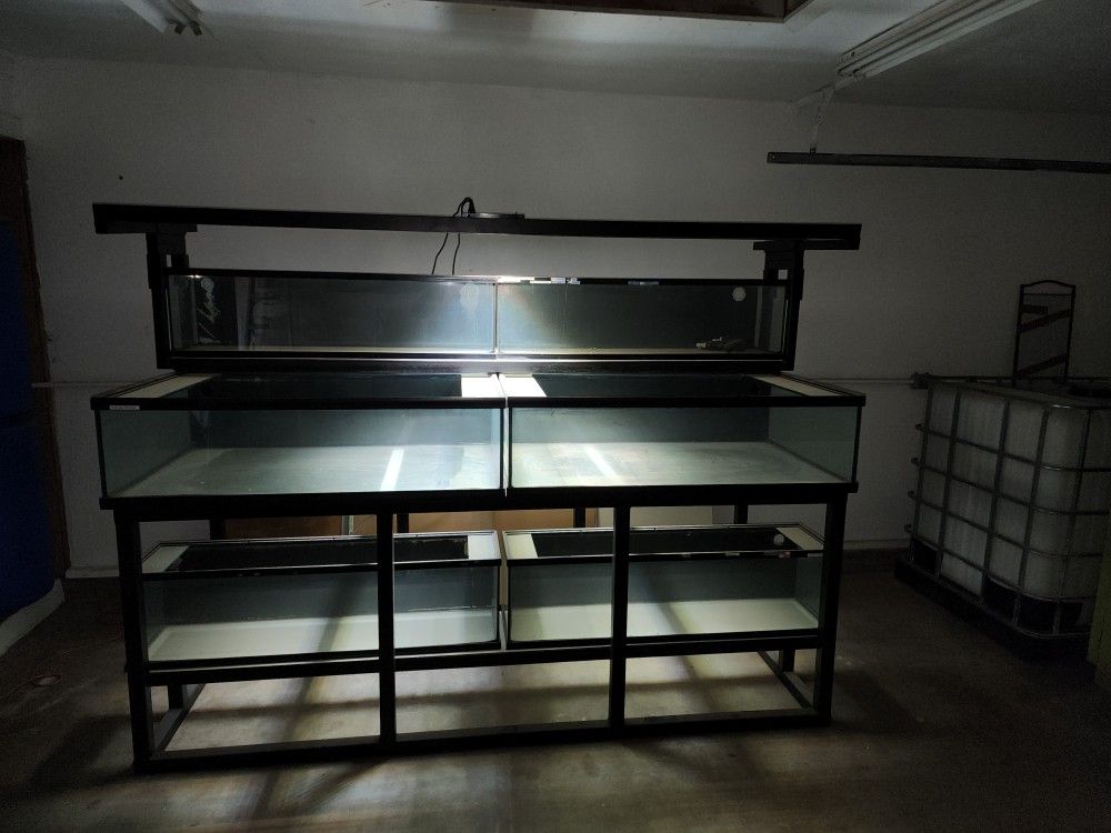 FISH TANK. AQUARIUM. FRAG TANK.