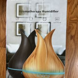 500ML Essential Oil Diffuser with 6 Essential Oils Gift Set