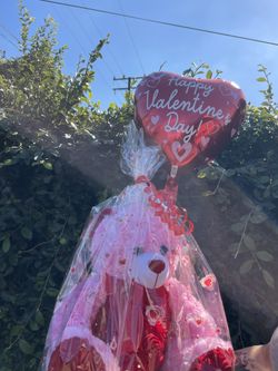 Vday Bear🥹💌❣️