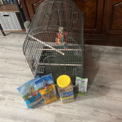 Bird Cage, Food And Treats