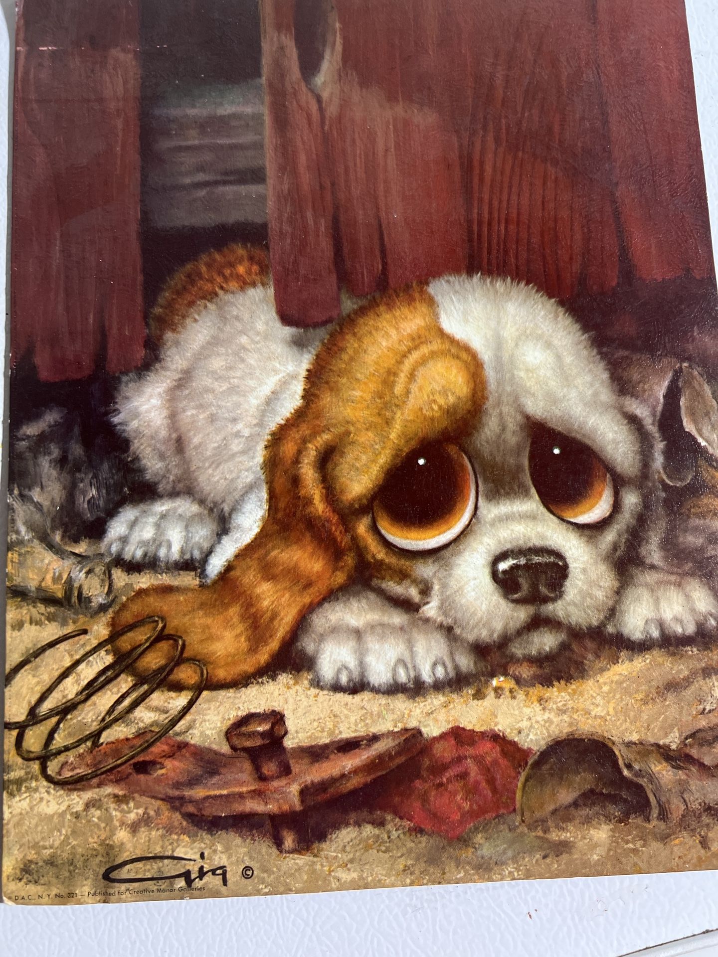 Pity dog