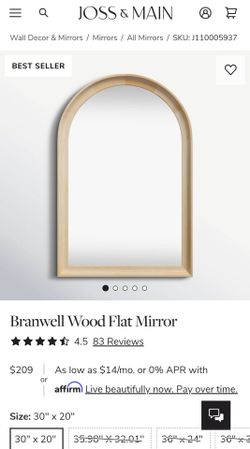 New 2 Arched Mirrors from Joss & Main