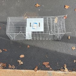 Animal Trap 