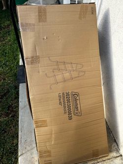 Coleman ladder and filter pump