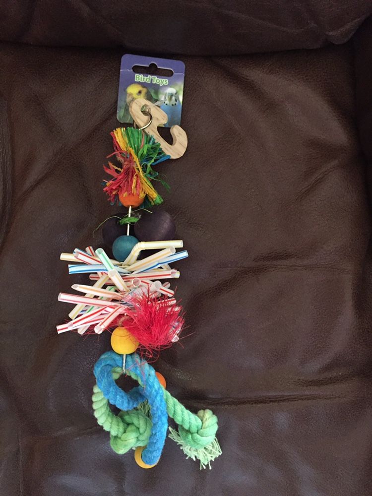 Bird Toys