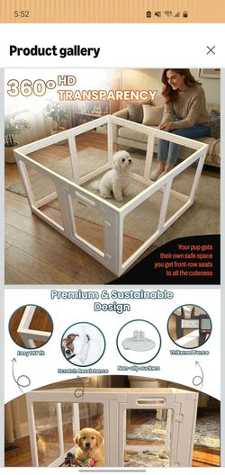 Transparent indor dog