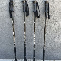 Telemark Expandable Trekking Poles